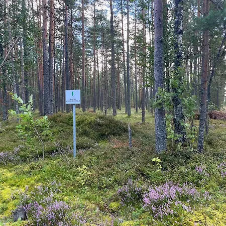 Forest Nine