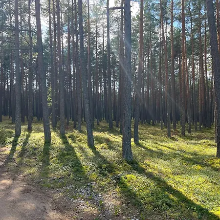 Homestay Forest Nine *