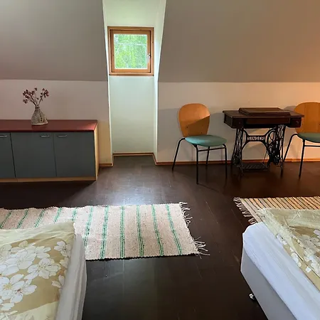 Forest Nine Homestay *