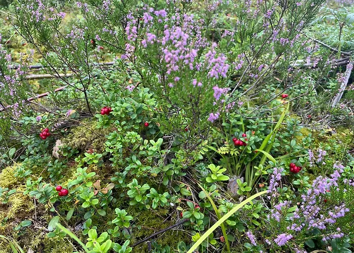 Forest Nine Habitación en casa particular *