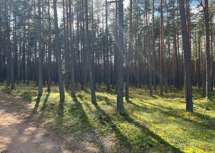 Kwatera prywatna Forest Nine *