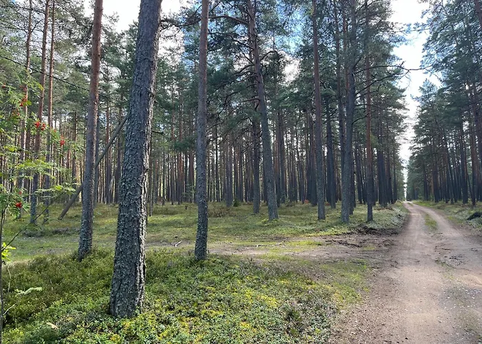 Habitación en casa particular Forest Nine *